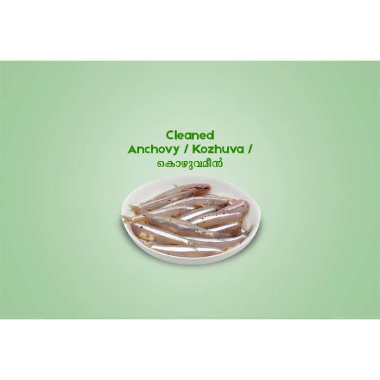 Cleaned Anchovy /  Kozhuva  /  കൊഴുവമീൻ (400gm) 